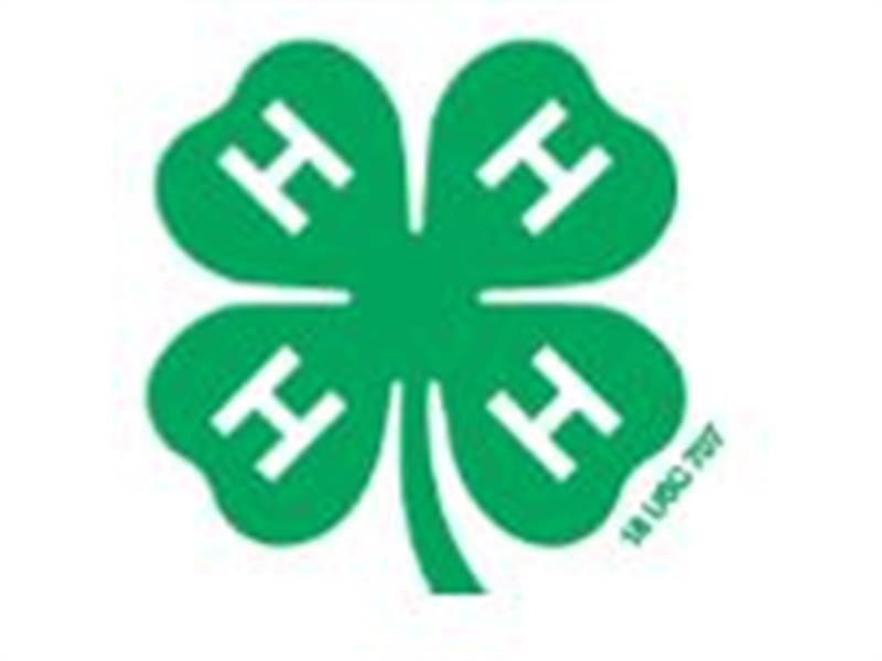 Fair Logo